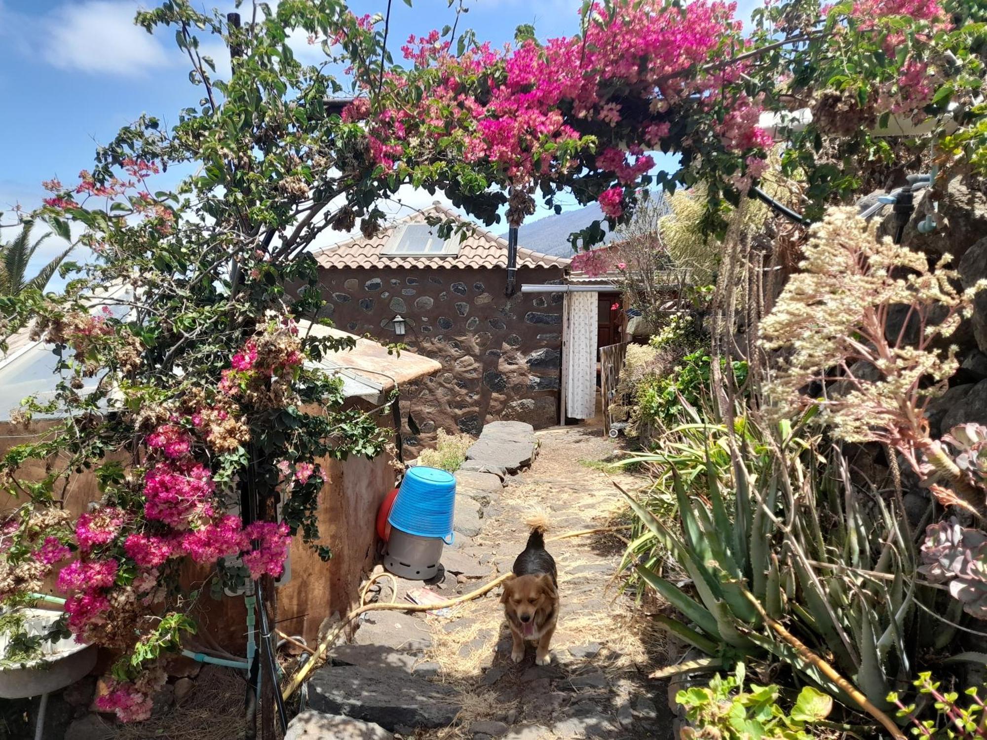 Abracaribes Bed & Breakfast Arecida Exterior photo