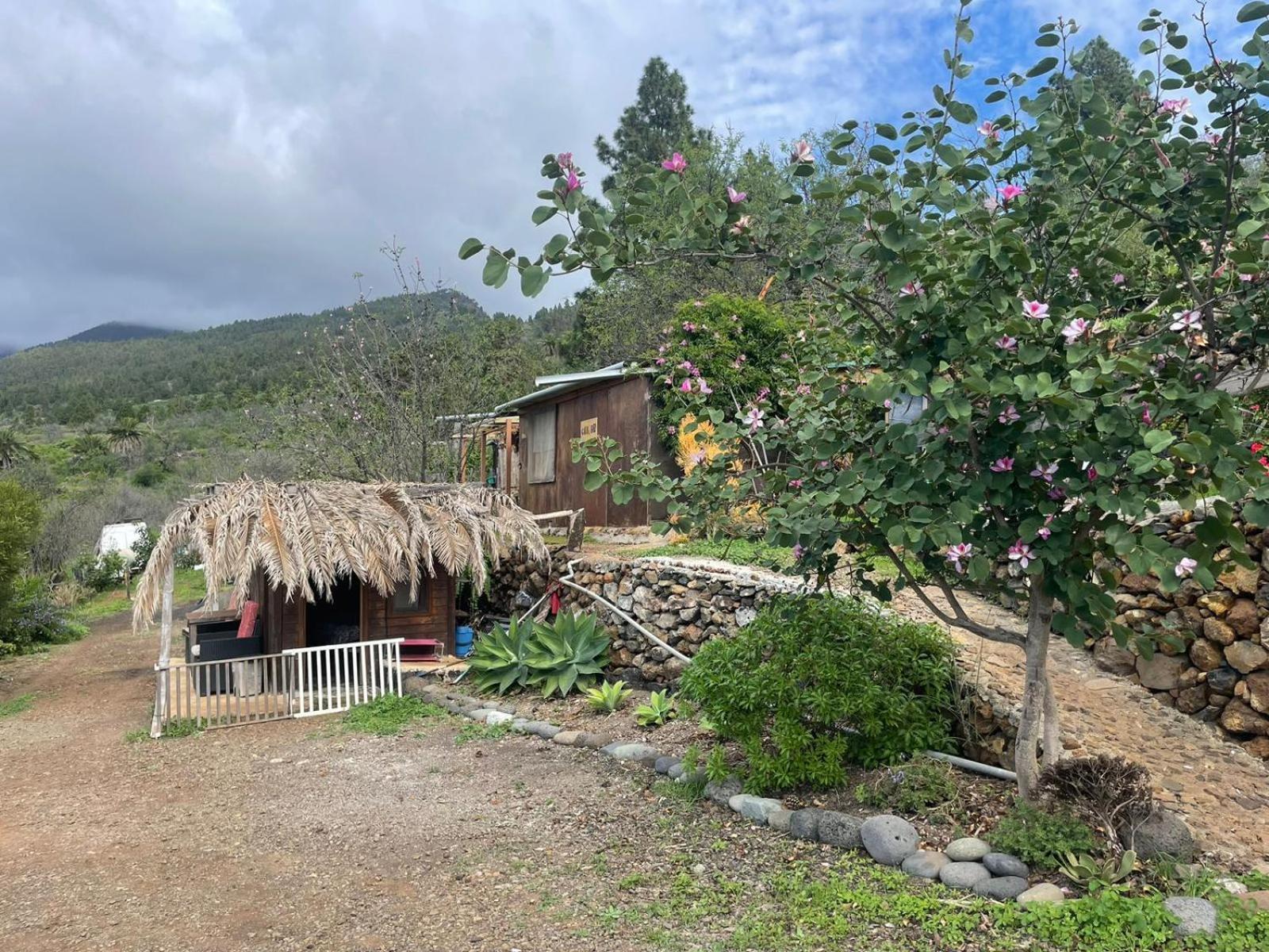 Abracaribes Bed & Breakfast Arecida Exterior photo