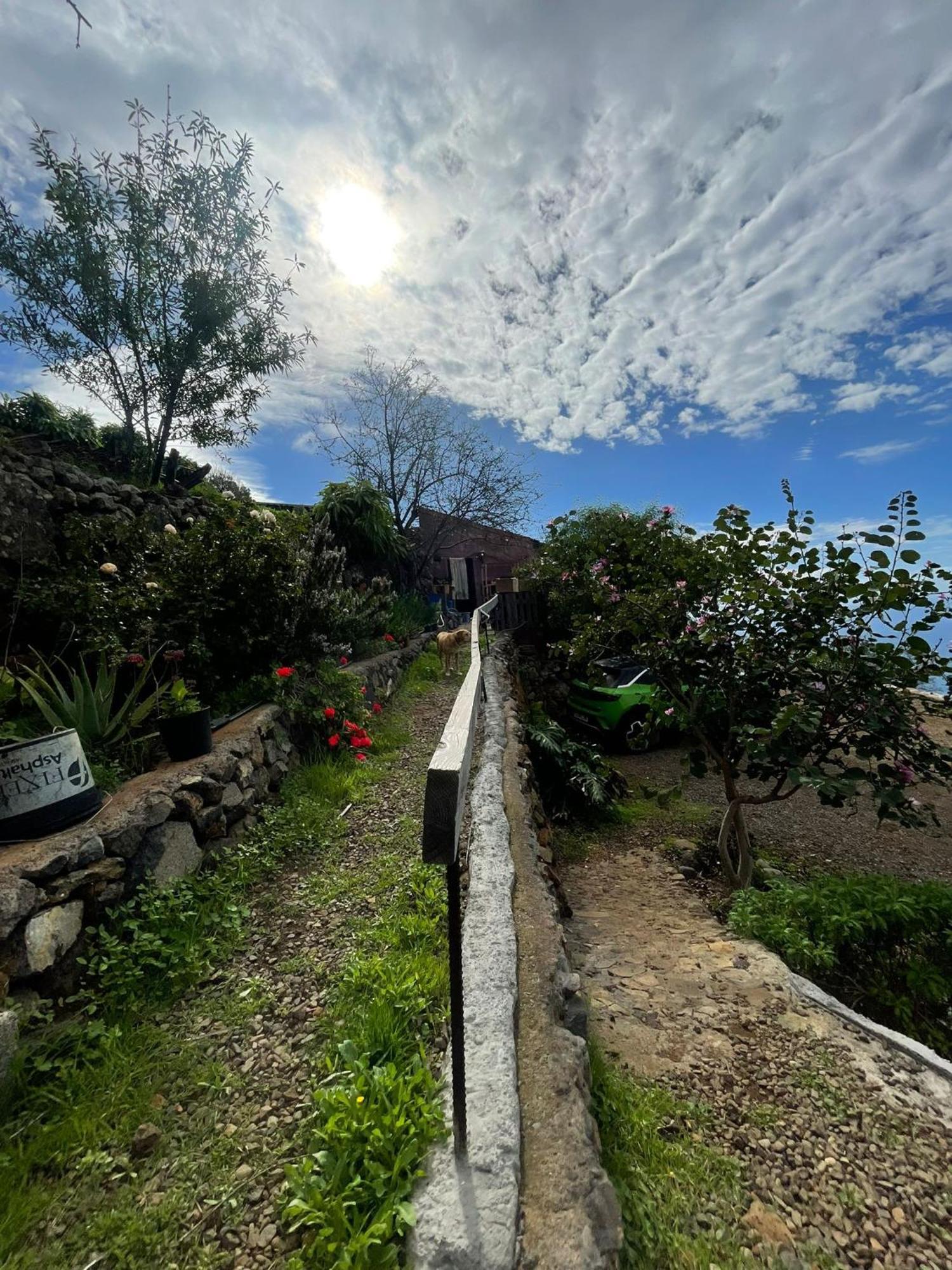 Abracaribes Bed & Breakfast Arecida Exterior photo
