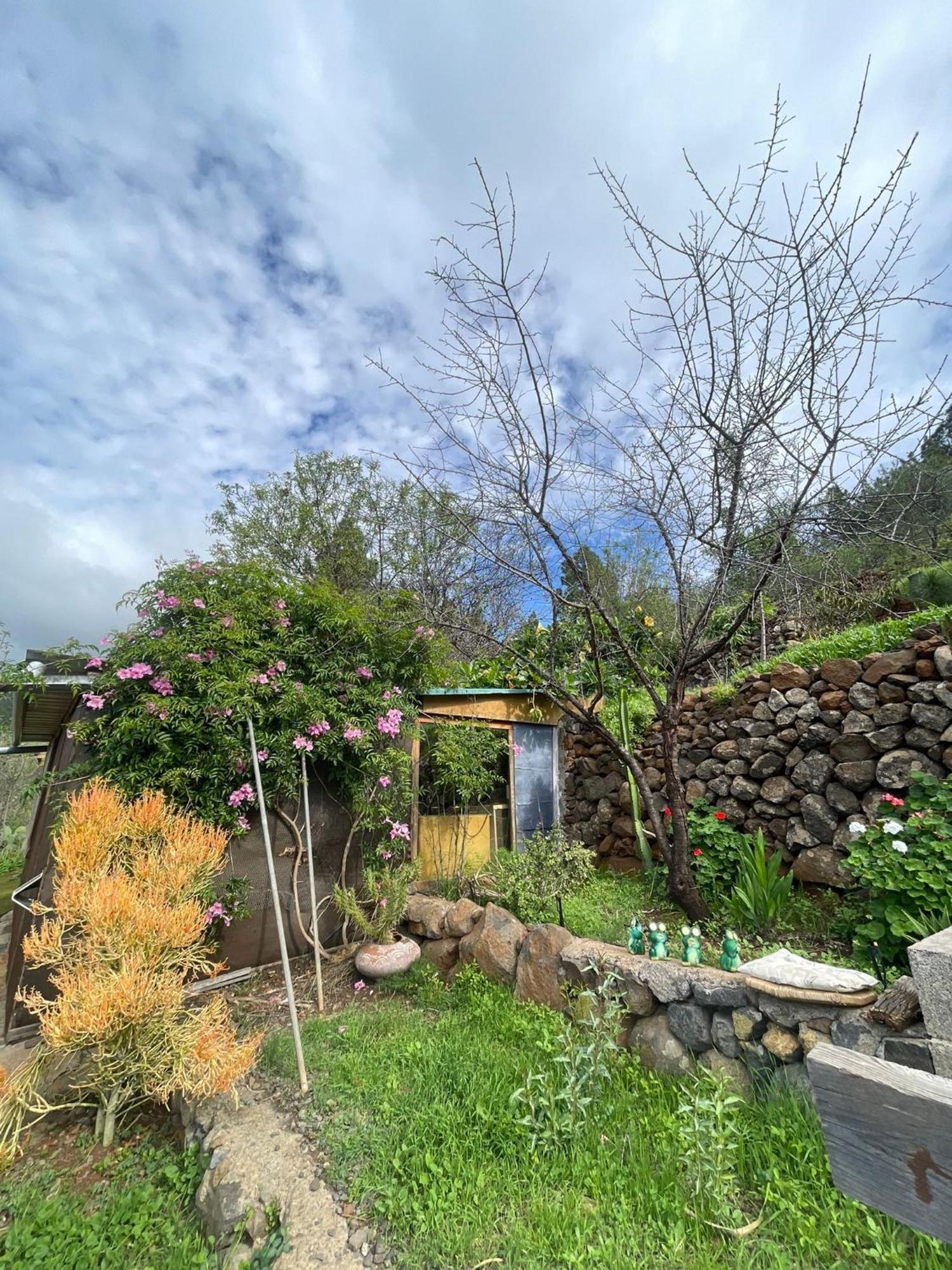 Abracaribes Bed & Breakfast Arecida Exterior photo