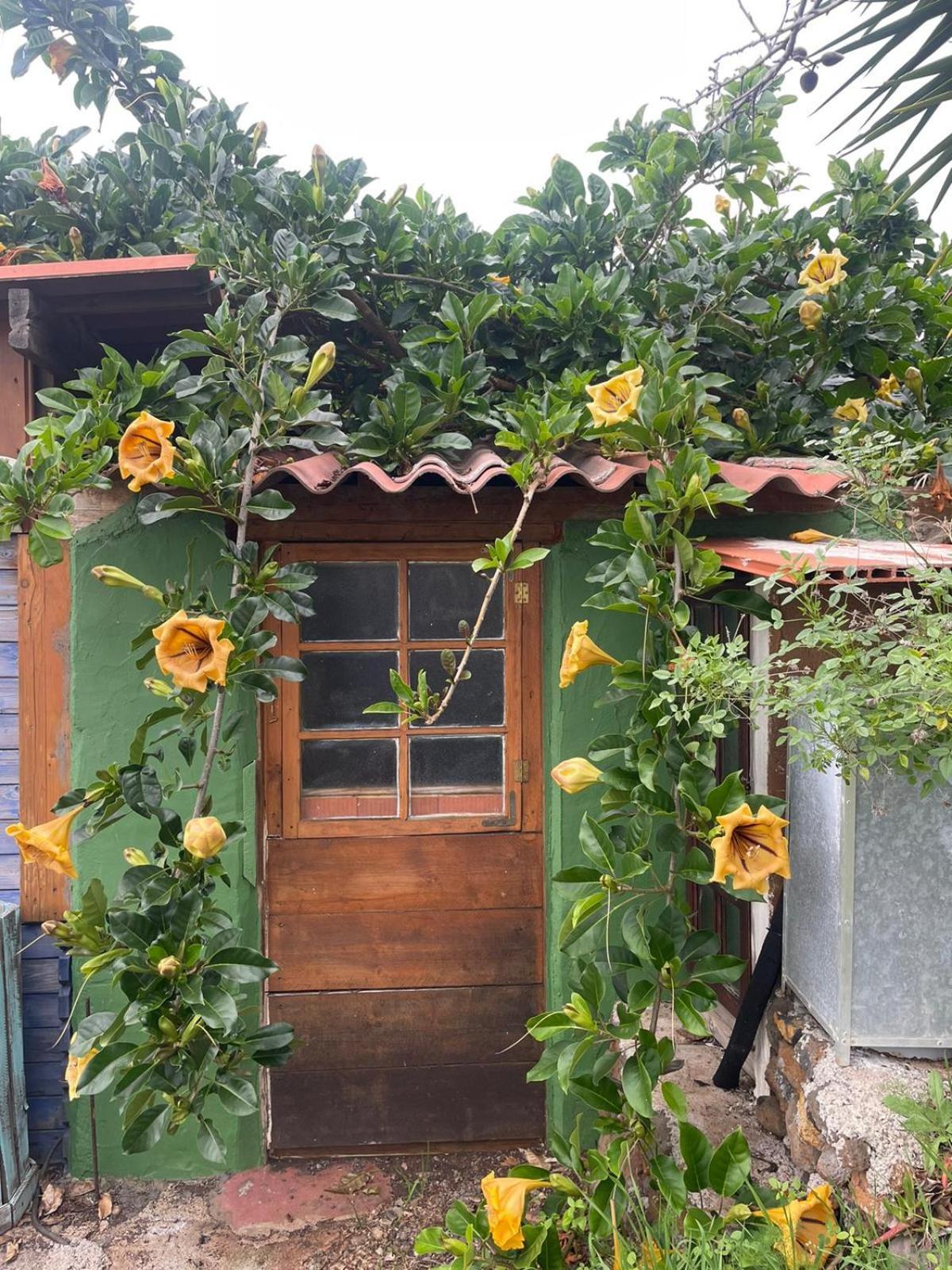 Abracaribes Bed & Breakfast Arecida Exterior photo